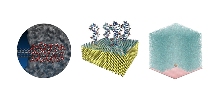Interface chemical physics